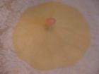 0815086010481 Charles Viancin Lilypad Lid