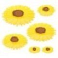 1102 1101 1103 Charles Viancin The Sunflower Small Medium Large Silicone Suction Lid Food 815086410441 1102 1101 1103 Charles Viancin The Sunflower Small Medium Large Silicone Suction Lid Food 815086410441