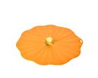 2301cv Charles Viancin Pumpkin Lid Large 849606023019