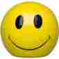 24523 Boston Warehouse Happy Kitchen Smiley Face Sunny Yellow Scrubby Holder