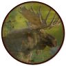 646054914117 Wgi Gallery Crisp Fall Morning Moose Wood Lazy