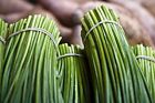 721867115996 Lilianas Garden Herb Seeds Chives Heirloom Attracts Pollinators