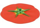 9602 Charles Viancin Tomato Lid 849606047824
