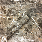 Addrs01 Moyishi Dark Brown Granite Look Marble Gloss Film 799648551721