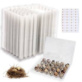 Ailica 753504995586 90 Packs Quail Egg Cartons Cheap Bulk 24 Count Clear Plast