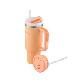 14097 Avanti Hydroquench Insulated Tumbler With Two Lids Peach - 1l 1 Litre 14097 Avanti Hydroquench Insulated Tumbler With Two Lids Peach - 1l 1 Litre
