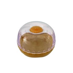 41493 Avanti Fresh Keeperpod Onion