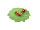 Charles Viancin Winterberry Lid Small 6 849606038860 Charles Viancin Winterberry Lid Small 6 849606038860
