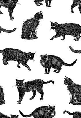 G005 Glow4u Self Adhesive Black Cat Shelf Liner Contact Paper Peel And Stick Cats Wallpap