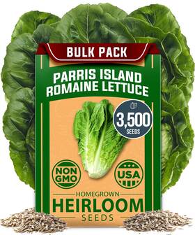 Home Grown 850056627856 Non Gmo Parris Island Romaine Lettuce 3 500 High 1-pack Green