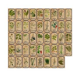 Kasutoo 781360204078 Herb And Spice Apothecary Labels Vintage Stickers For Jars Bottles Tags
