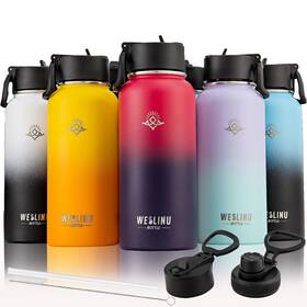 Lgzj8003 Lange Home Stainless Steel Water Bottle - Insulated Sport With Straw And Re