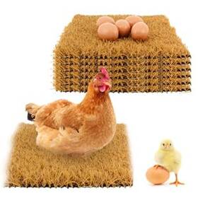 Fgg45 Mimoyalaso 6 Pack Nesting Box Pads - For Chicken Accessories 12 Inch X Wash Fgg45 Mimoyalaso 6 Pack Nesting Box Pads - For Chicken Accessories 12 Inch X Wash