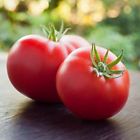 Mt771 Davids Garden Seeds Tomato Slicing Marglobe Red Heirloom Other Kitchen