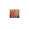 N9qec90 Ace Resources Group Count Extra Wide Fat Boba 610395815297