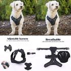 Na Rabbitgoo No Pull Dog Harness Large Pet 753510241417