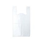 Nonpr11a Inteplast Plain Bag 762935998950