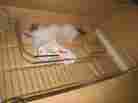 Out33x18x5 Unbranded Rev-a-shelf Under Sink Pull Chrome Pick Up California Out33x18x5 Unbranded Rev-a-shelf Under Sink Pull Chrome Pick Up California
