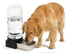 114002071 Pakeway Large Capacity Gravity Water Dispenser For Dogs 2.3 Gallon Stainless 114002071 Pakeway Large Capacity Gravity Water Dispenser For Dogs 2.3 Gallon Stainless