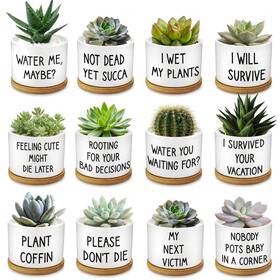 Rojuna 768825695817 12 Pcs Funny Succulent Pots With Bamboo Tray White Ceramic Aloe Cactus Plant
