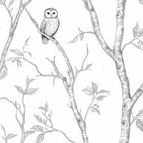 Fl0038 Simfu Neutral Birch Tree Owls Shelf Liner Contact Paper Peel And Stick Wallpaper For Fl0038 Simfu Neutral Birch Tree Owls Shelf Liner Contact Paper Peel And Stick Wallpaper For