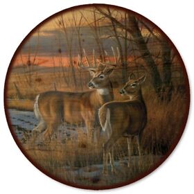 Wgi Gallery Daybreak Multicolor Wood And Steel Lazy Susan Multi