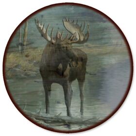 Wgi Gallery Quiet Water Moose Wooden Lazy Susan Multi Wgi Gallery Quiet Water Moose Wooden Lazy Susan Multi