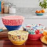 Pioneer Woman Bowl Cover Set Delaney Vintage Country Splatter & Rose Ditsy. Fixed Price $26.95.