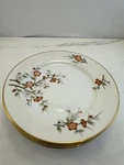 Set Of 5- Noritake 5329 Bread & Butter Plates- Japan. Fixed Price $35.00.