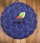 Charles Viancin 8" Blackberry Lid. Fixed Price $20.00.