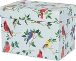 Now Designs Recipe Card Box, Birdsong (5261002). Fixed Price $42.36.