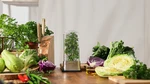 2016 Brand New Prepara Stainless Steel Container Fresh Herb Saver. Fixed Price $8.95.