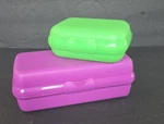 Tupperware 3755A Purple Sub Sandwich Box & 2801B Green Oyster Snack Container. Fixed Price $12.99.