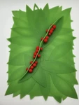Charles Viancin Large Silicone Lid Casserole Cover Winterberry 15" X 10". Fixed Price $25.00.