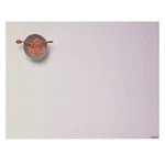 Chilewich Glow Placemat Orchid. Fixed Price $19.46.