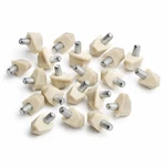 20X Rok 5MM Almond Shelf Support Pin Peg Kitchen Cabinet Book Shelves Holder. Fixed Price $9.10.