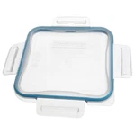 Snapware 8704-PC 4-CUP Total Solutions Lid W/ Blue Spruce Gasket. Fixed Price $14.99.