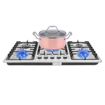 5 Burners Gas Stove Stainless Steel Ng Cook-top For Home/commercial Kitchens. Fixed Price $141.26.