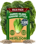 Home Grown Parris Island Romaine Lettuce Seeds 3,500+ Heirloom 1-PACK, Green. Fixed Price $11.99.