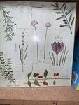 Collected Recipes Cookbook, Botanical Treasures Design, New/meadowsweet Kitchens. Fixed Price $24.99.