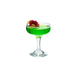 Vikko Cocktail Set Of 12 Coupe Glass, Small Champagne Glasses,.... Fixed Price $47.60.