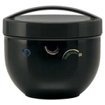 Skater Japanese Bento Lunch Bowl Tier Wind, 840 ML/24 Oz. F/s W/tracking# New. Fixed Price $24.75.