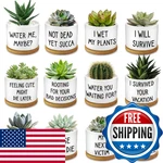 Rojuna 12 Pcs Funny Succulent Pots With Bamboo Tray White Ceramic Aloe Cactus Pl. Fixed Price $69.35.