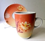 Seltmann Weiden Porcelain Coffee Cup & Saucer Bavaria Germany Label Marked 4.25". Fixed Price $20.00.