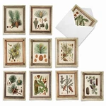 The Best Company - 10 Boxed Note Cards Blank (4 5.12 Inch) Bulk Asso.... Fixed Price $19.84.