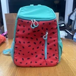 Cute Watermelon Sun Squad Cooler Backpack Very Nice 24 Can Beach Picknick Target. Fixed Price $19.99.