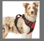 Rabbitgoo DTCW006L Dog Harness No-pull Pet Adjustable Outdoor Vest, Size M -.... Fixed Price $9.48.