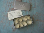 Pampered Chef Creative Mini Cookie Cutters Set Of 8 Storage Tin. Fixed Price $6.99.