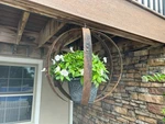Rustic Wiskey Barrel Rings Orb Globe Garden Flowerbed Decor 12 22-24". Fixed Price $93.49.