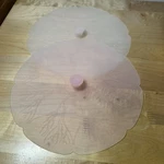 Charles Viancin Lilypad Silicone Lids 9" Set 2 Eco Food Covers Suction Cup. Fixed Price $22.00.
